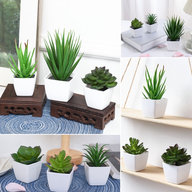 Bonsai Garden Kit - (Um conjunto de 3 peças) mini