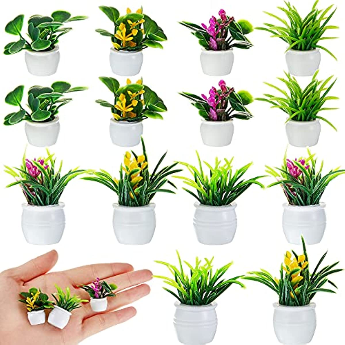Bonsai Garden Ideas - Planta de casa de bonecas, planta