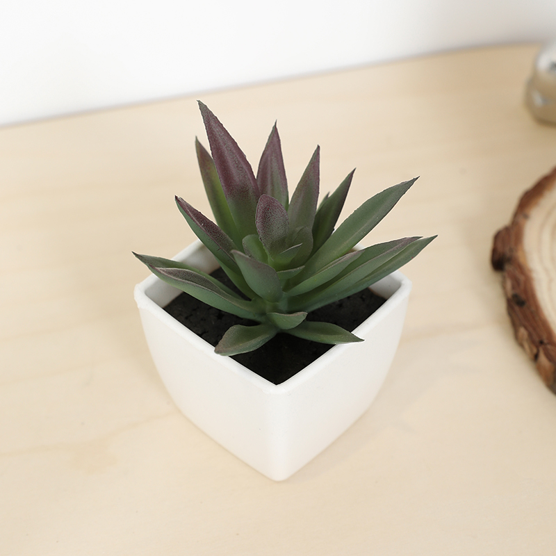 Bonsai Garden Ideas - Mini copo de fada suculenta artificial