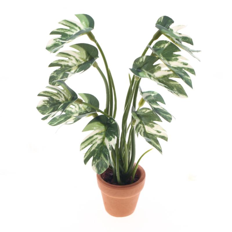 Bonsai Gardener - Novo. 1PC Planta Verde Monstera em