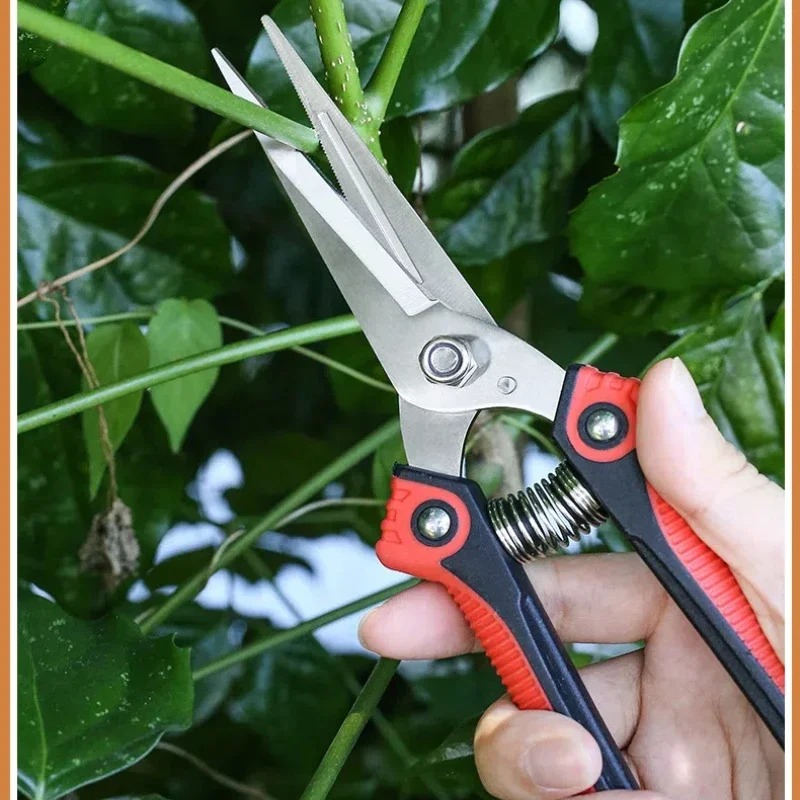 Tesoura de Poda NEWSHARK em Aç - Bonsai Gardener avaliação e preço