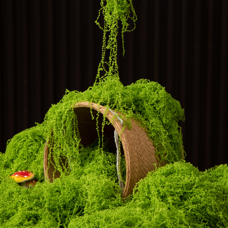 Musgo da Vida Eterna 200g para - Bonsai Garden Ideas avaliação e preço