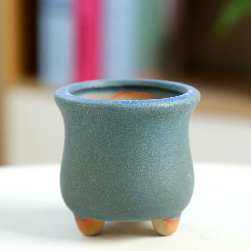 Mini vaso de flores carnudo de - Training Pot Ceramic avaliação e preço