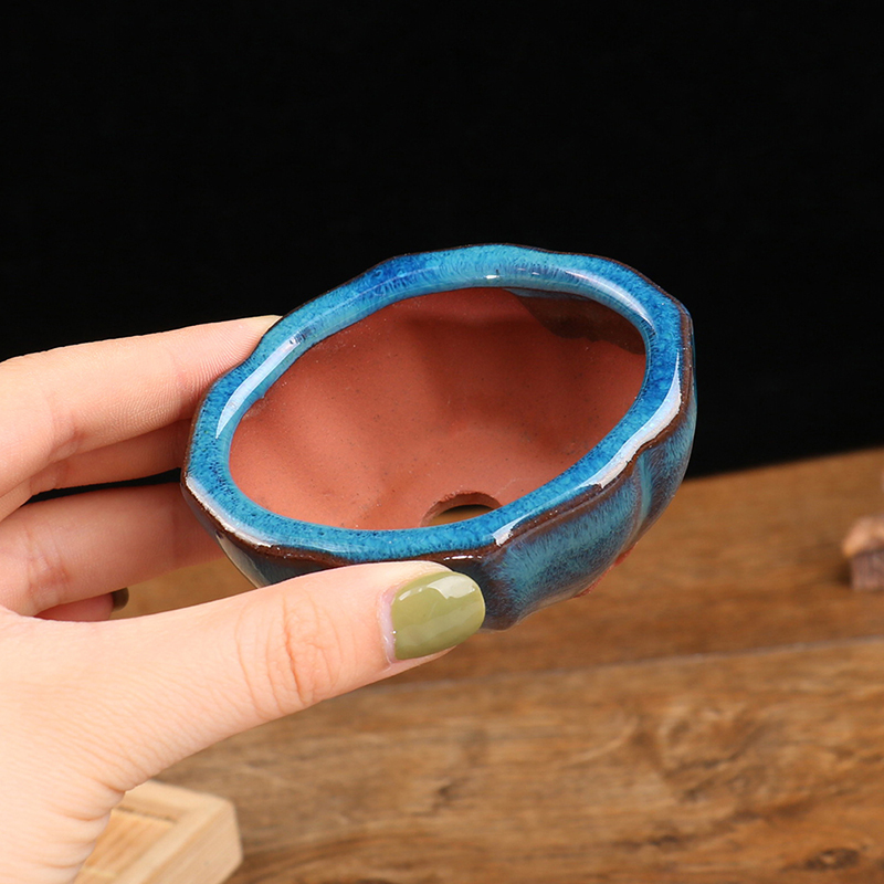 Estilo chinês Bonsai Flowerpot - Training Pot Ceramic avaliação e preço