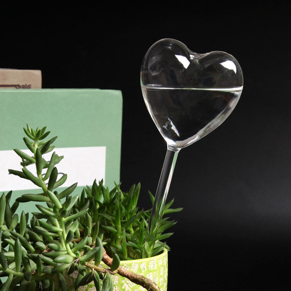 Conjunto de 3 Globos de Vidro  - Bonsai Garden Kit avaliação e preço