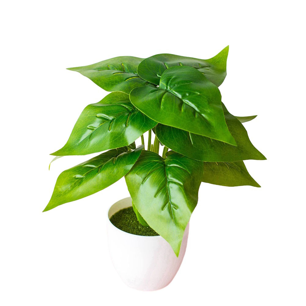 Planta Artificial Realista em  - Bonsai Garden Landscape Design avaliação e preço
