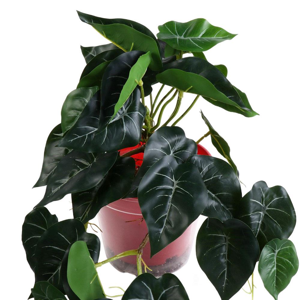 Decoração Tropical Nórdica par - Bonsai Garden Desk avaliação e preço