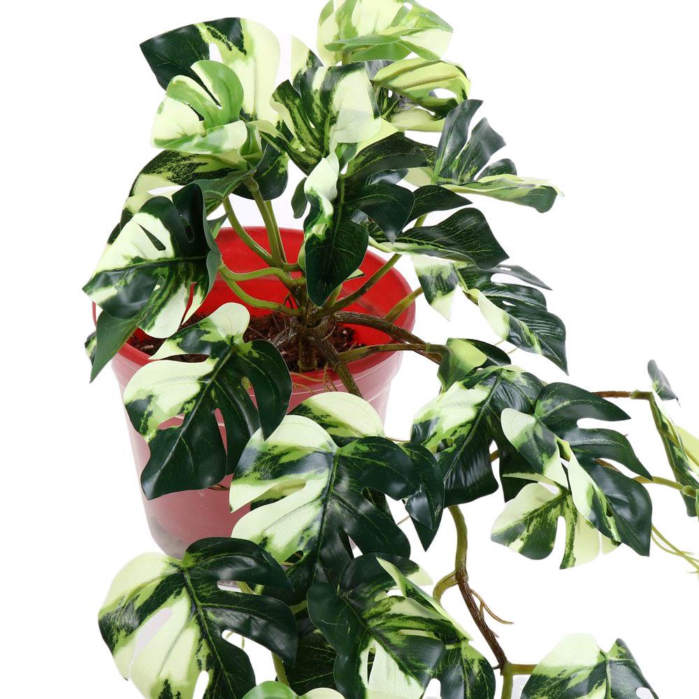 Decoração Tropical Nórdica par - Bonsai Garden Desk avaliação e preço