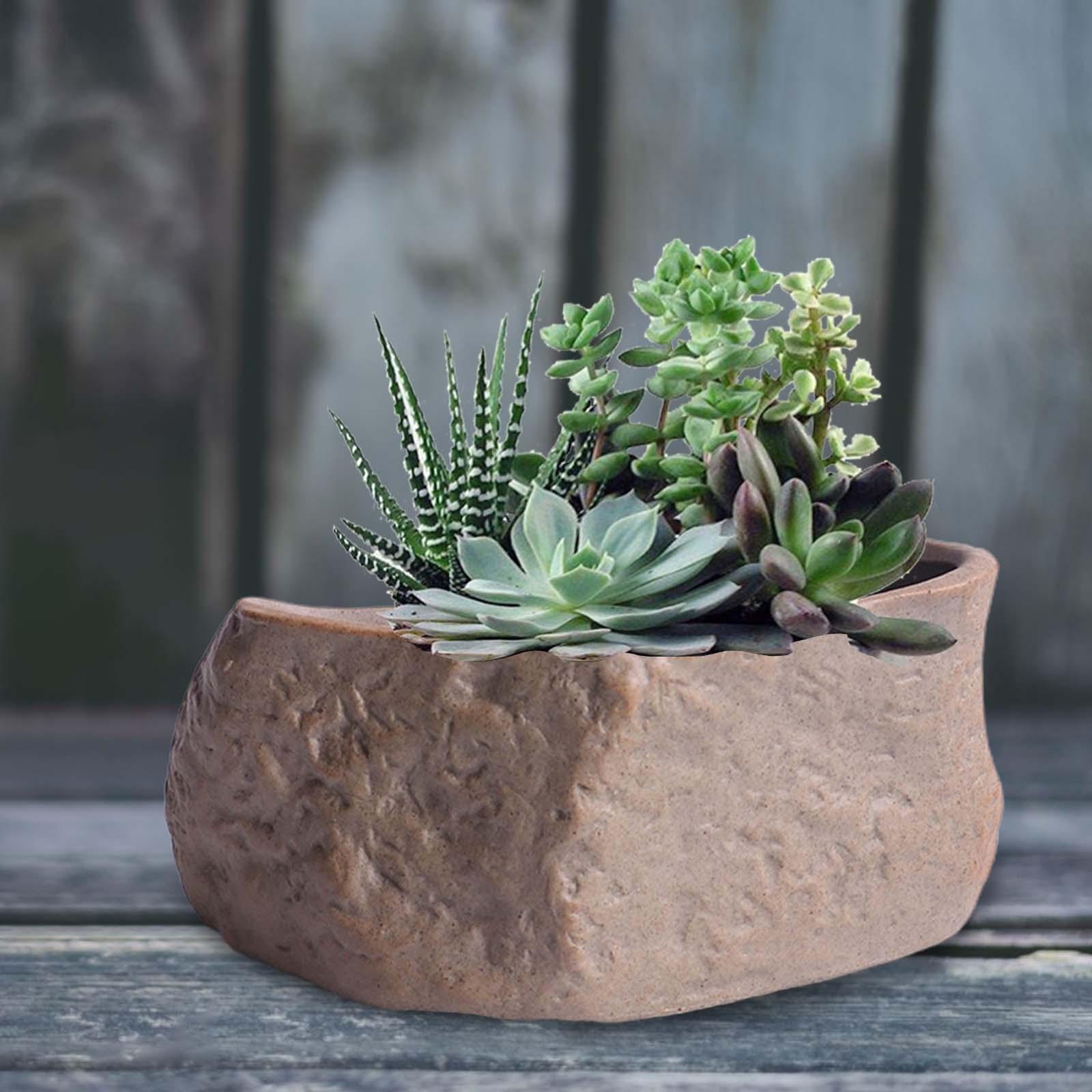 Vaso de Cerâmica Leve para Suc - Training Pot Ceramic avaliação e preço