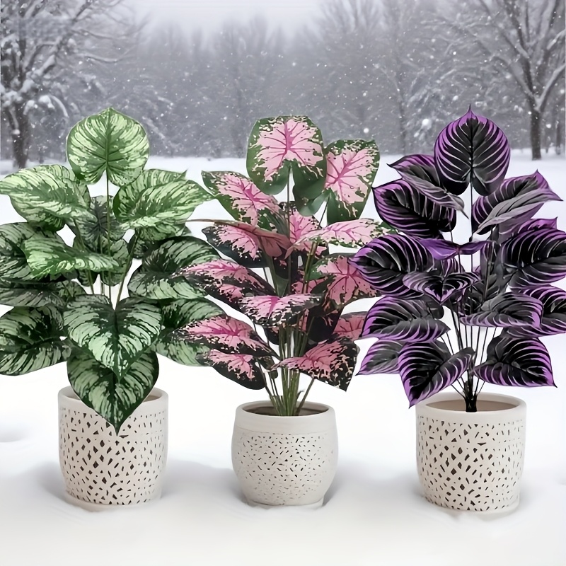Conjunto de plantas verdes art - Bonsai Garden Ideas avaliação e preço