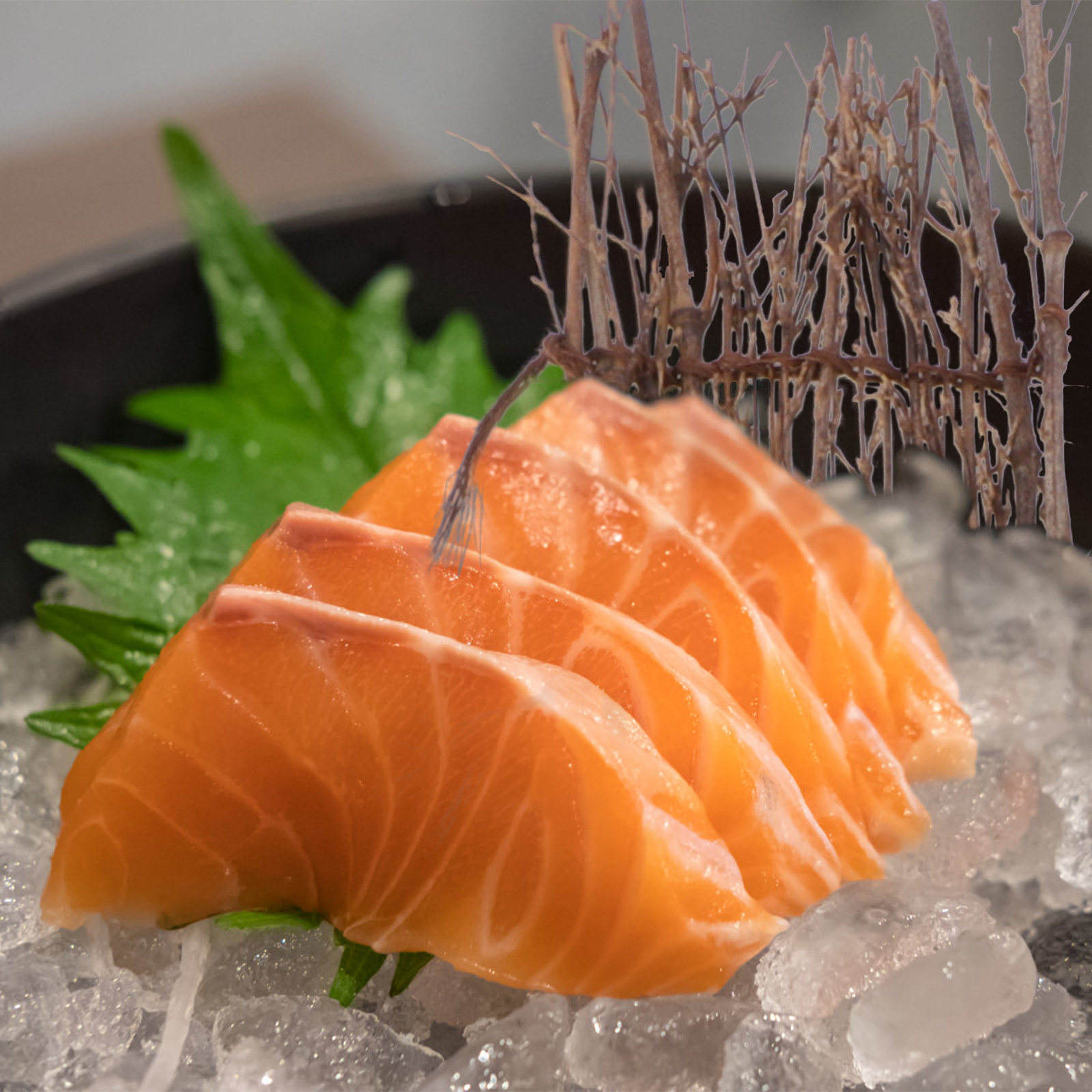 6 Peças de Tapete de Bambu par - Bonsai Garden Sushi avaliação e preço