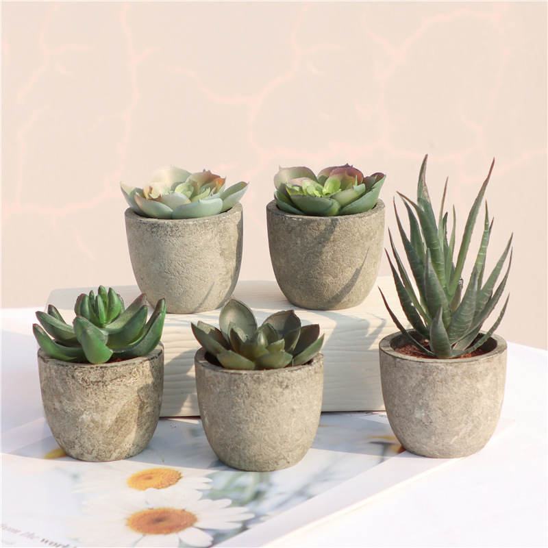 Mini plantas artificiais de al - Bonsai Garden Sushi avaliação e preço