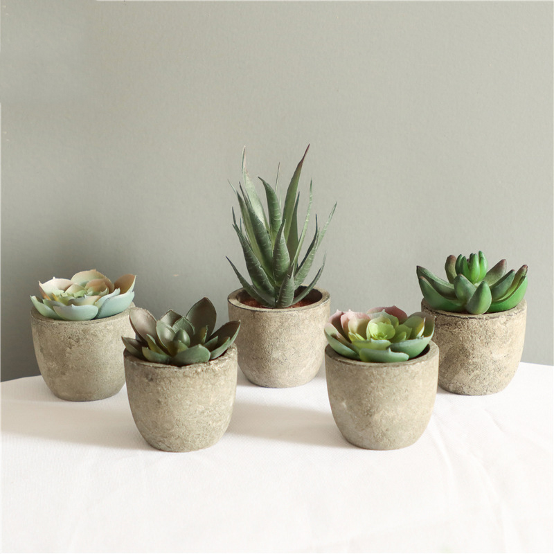 Mini plantas artificiais de al - Bonsai Garden Sushi avaliação e preço