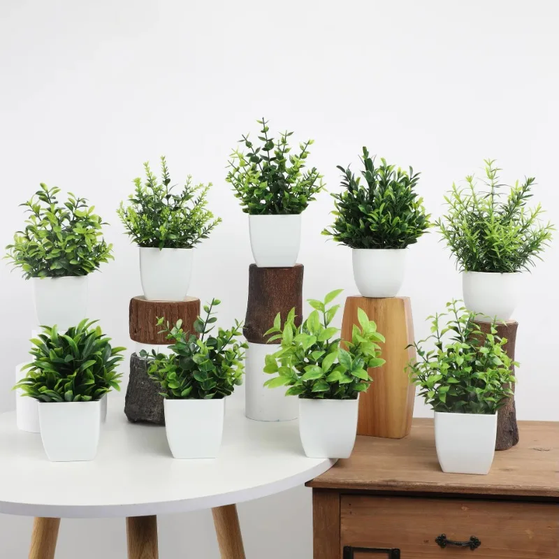 Atacado OEM/ODM Mini Plantas A - Bonsai Garden Kit avaliação e preço