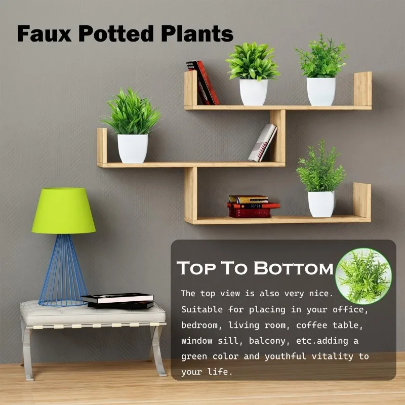 Atacado OEM/ODM Mini Plantas A - Bonsai Garden Kit avaliação e preço