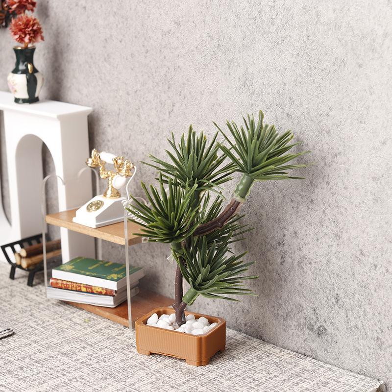 1 Peça de Árvore de Pinheiro S - Bonsai Gardener avaliação e preço