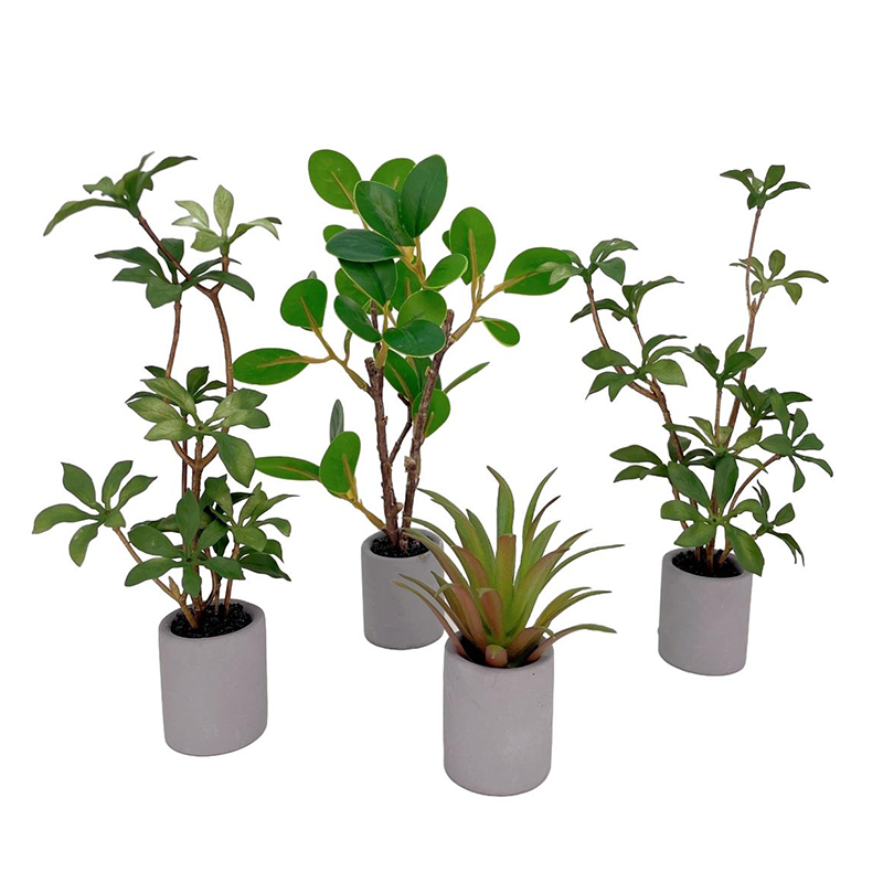 1:6 casa de bonecas em miniatu - Bonsai Garden Ideas avaliação e preço