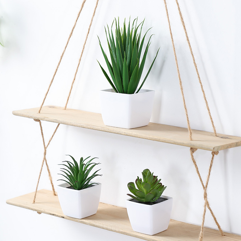 (Um conjunto de 3 peças) mini  - Bonsai Garden Kit avaliação e preço