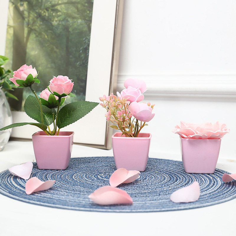 (Um conjunto de 3 peças) mini  - Bonsai Garden Kit avaliação e preço