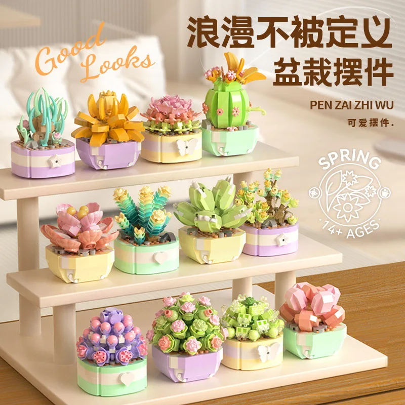 Flower Suculents Building Bloc - Bonsai Garden Kit avaliação e preço
