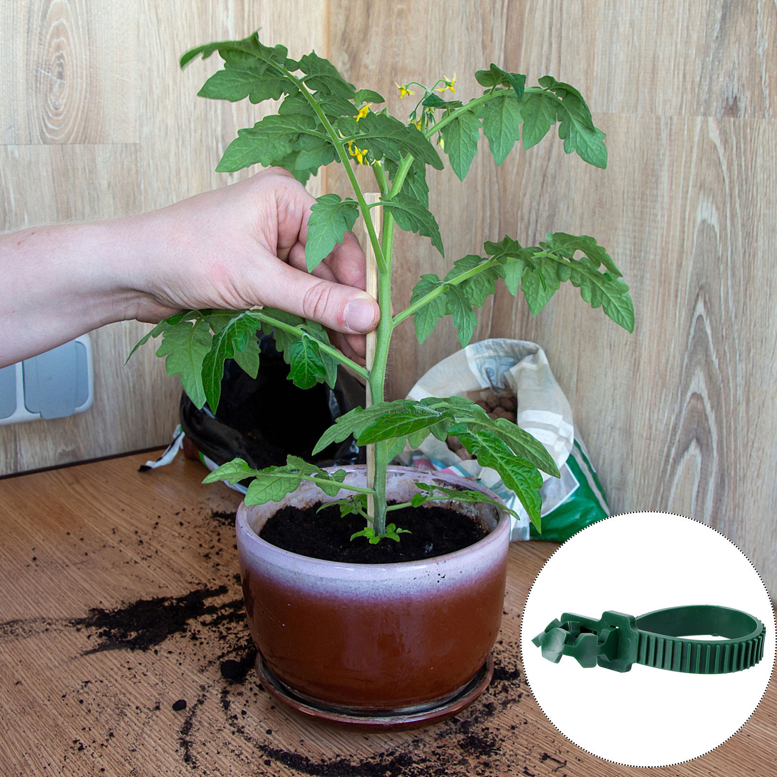 20 Peças de Clipe de Fixação p - Bonsai Garden Tree avaliação e preço