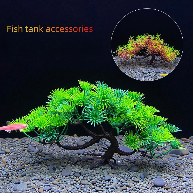 Árvore bonsai de aquário, plan - Bonsai Garden Sushi avaliação e preço