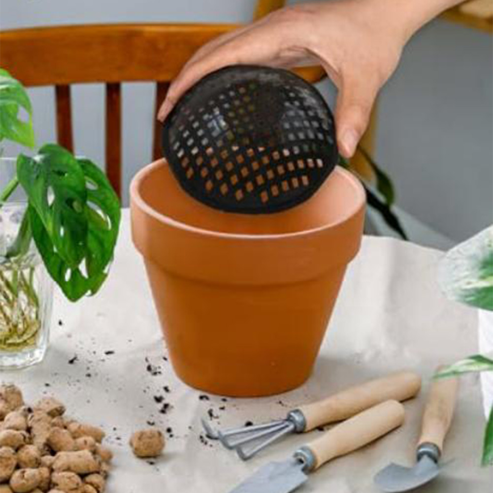 20/30 Peças de Telas de Malha  - Bonsai Gardener avaliação e preço