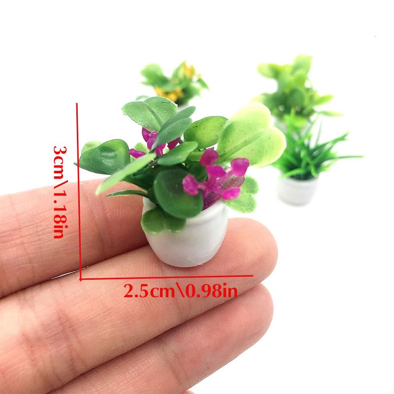 Planta de casa de bonecas, pla - Bonsai Garden Ideas avaliação e preço