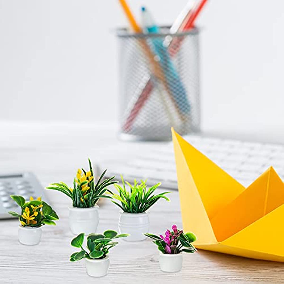 Planta de casa de bonecas, pla - Bonsai Garden Ideas avaliação e preço