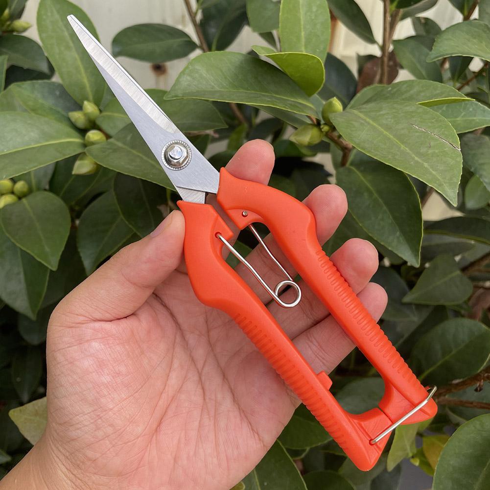 Tesoura de Poda Profissional p - Bonsai Garden Tree avaliação e preço