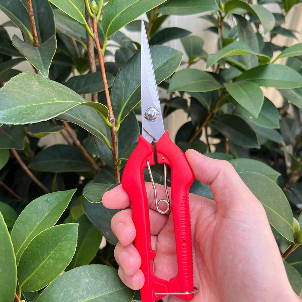 Tesoura de Poda Profissional p - Bonsai Garden Tree avaliação e preço