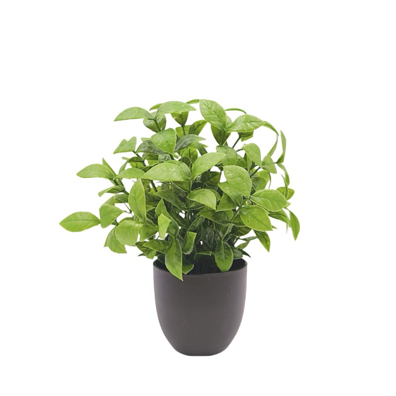 Bonsai de Planta Verde Simulad - Bonsai Garden Kit avaliação e preço
