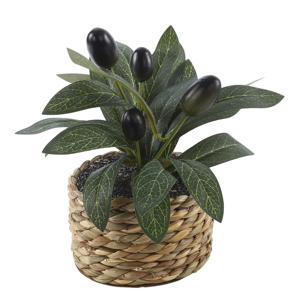 Plantas Artificiais, Oliveira  - Bonsai Garden Kit avaliação e preço