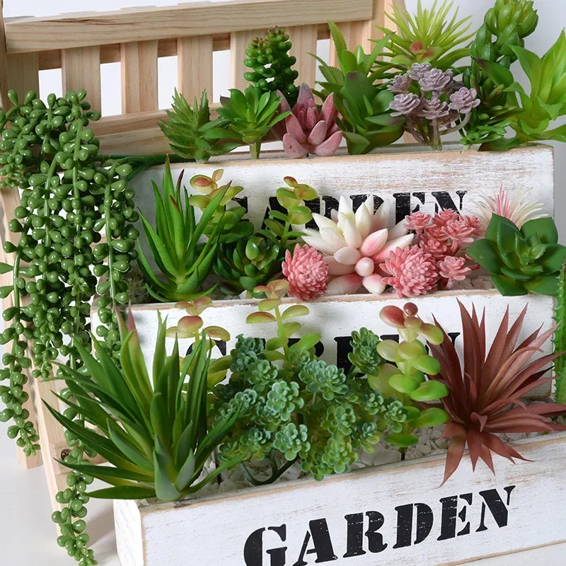 10/20 Peças de Plantas Suculen - Bonsai Garden Ideas avaliação e preço
