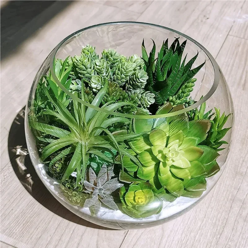 10/20 Peças de Plantas Suculen - Bonsai Garden Ideas avaliação e preço