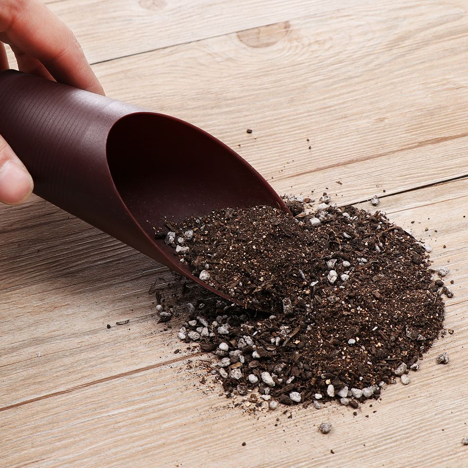 1pc plástico solo pá copo para - Bonsai Garden Kit avaliação e preço