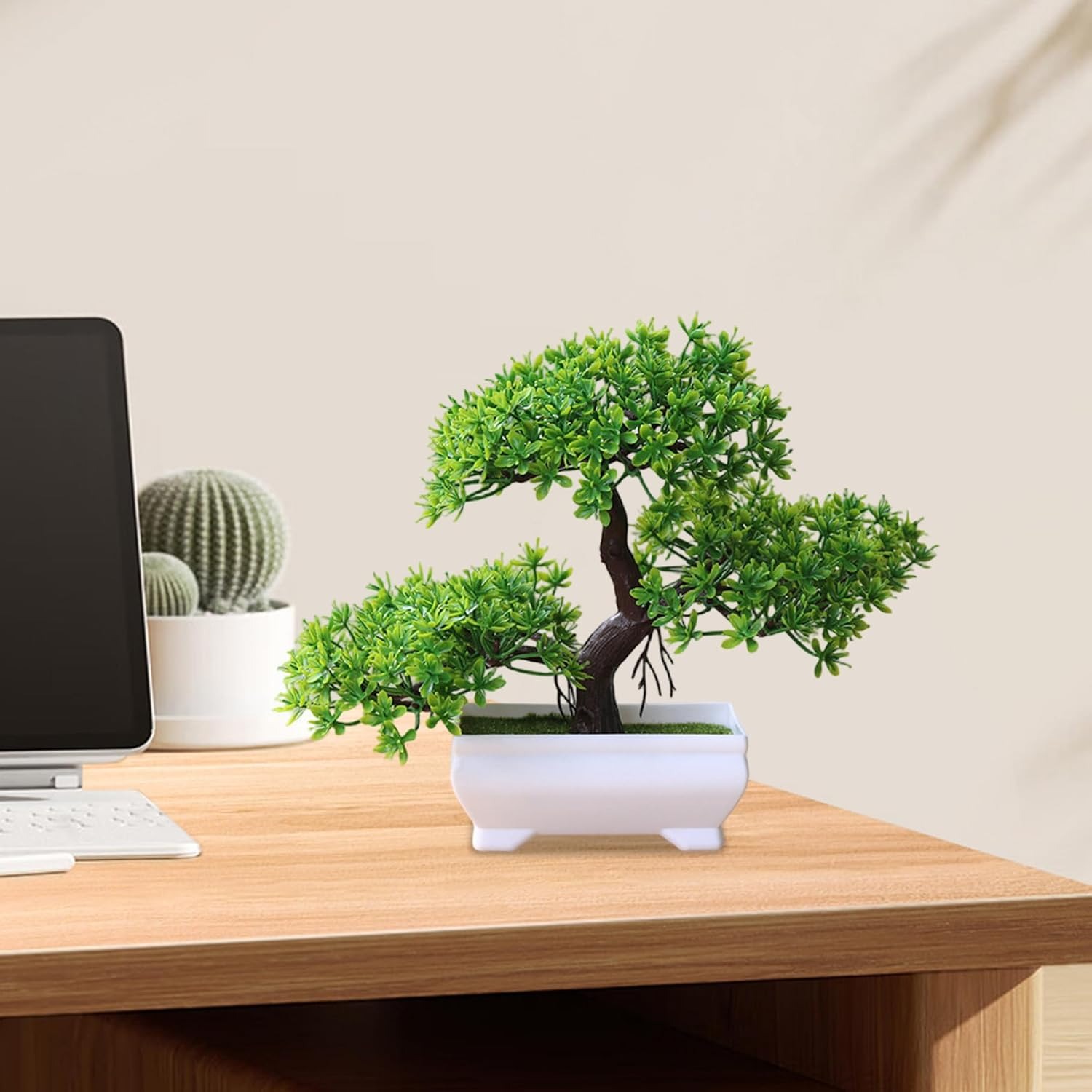 1/2 Peças de Árvore Bonsai Art - Bonsai Garden Ideas avaliação e preço